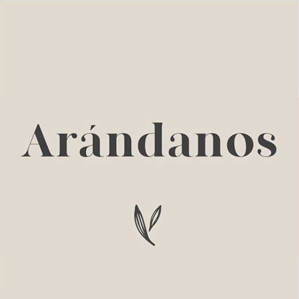 Granola Arándanos - 100% Natural y Artesanal
